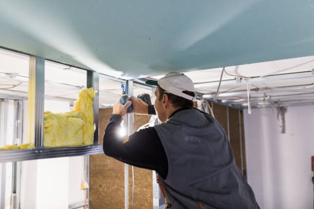 Best Cellulose Insulation in Cleveland, MS