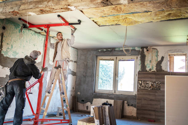Best DIY Insulation Kits and Guidance in Cleveland, MS