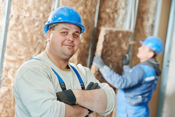 Best Geographic-Specific Insulation Services in Cleveland, MS
