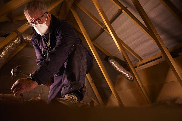 Professional Insulation Contractor in Cleveland, MS