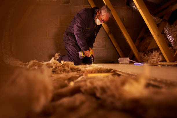 Best Specialized Insulation Services in Cleveland, MS